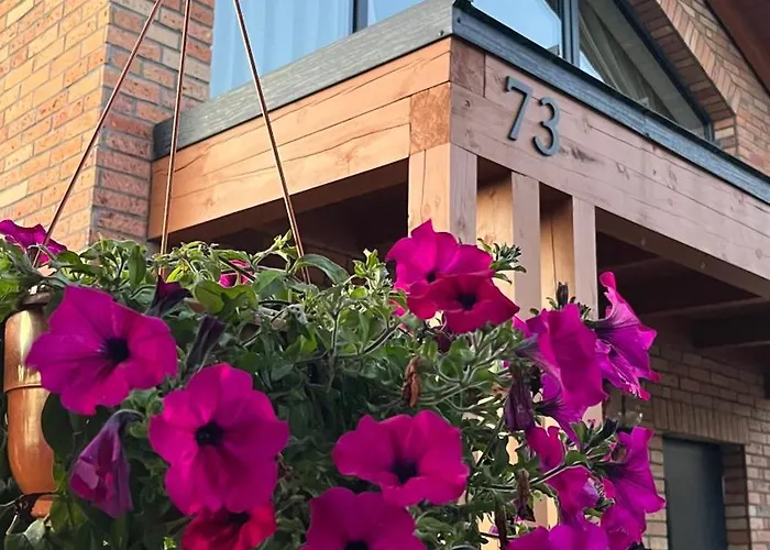 Holiday park Czaple *